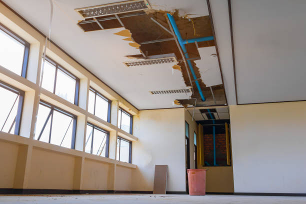 Best Professional water damage repair  in Cove Creek, NC