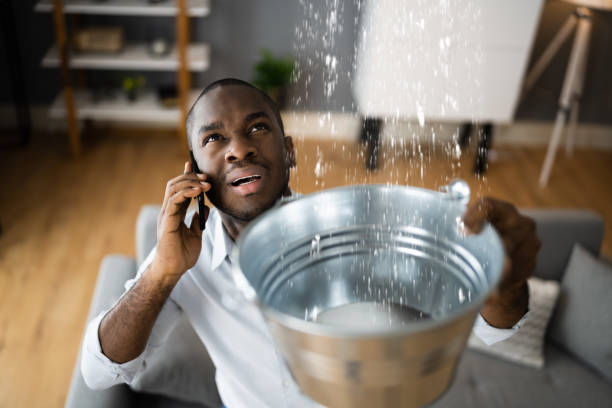 Cove Creek, NC Water damage restoration Pros