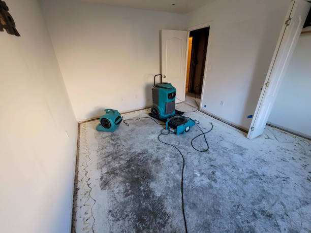 Best Water damage mitigation services  in Cove Creek, NC