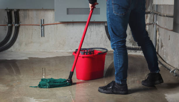 Best Water damage restoration company  in Cove Creek, NC