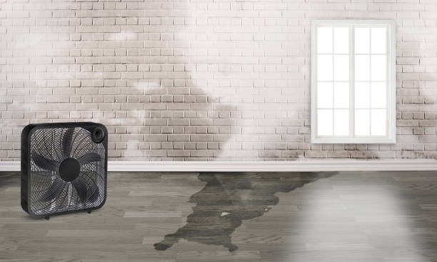 Best Water damage restoration services  in Cove Creek, NC