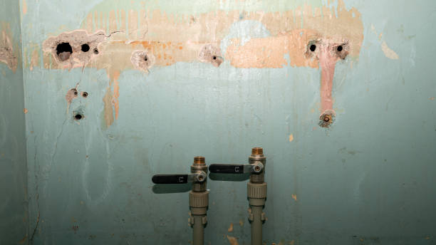 Best Water damage restoration specialists  in Cove Creek, NC