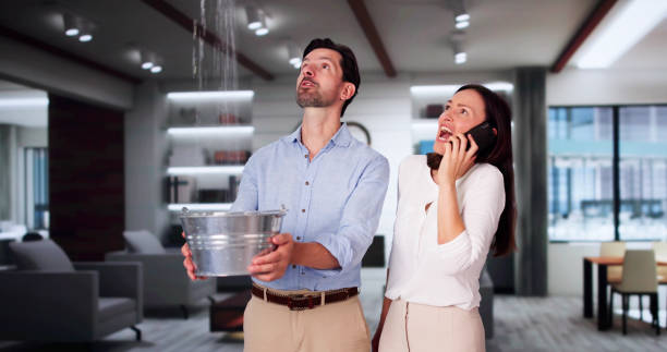 Best 24/7 water damage repair  in Cove Creek, NC