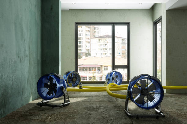 Best Water damage contractors near me  in Cove Creek, NC